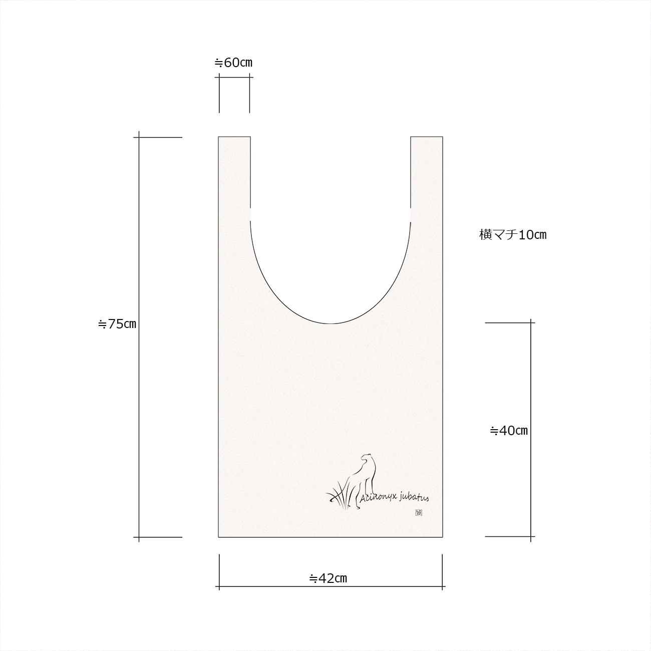 春の新生活応援セット　チーターオリジナルＲグラスペアセット＆マルシェバッグ（生成） | 9枚目