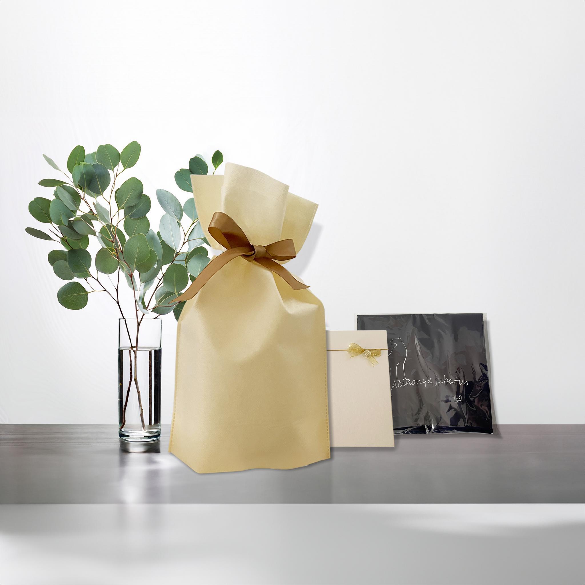 春の新生活応援セット　チーターオリジナルＲグラスペアセット＆マルシェバッグ（紺色）