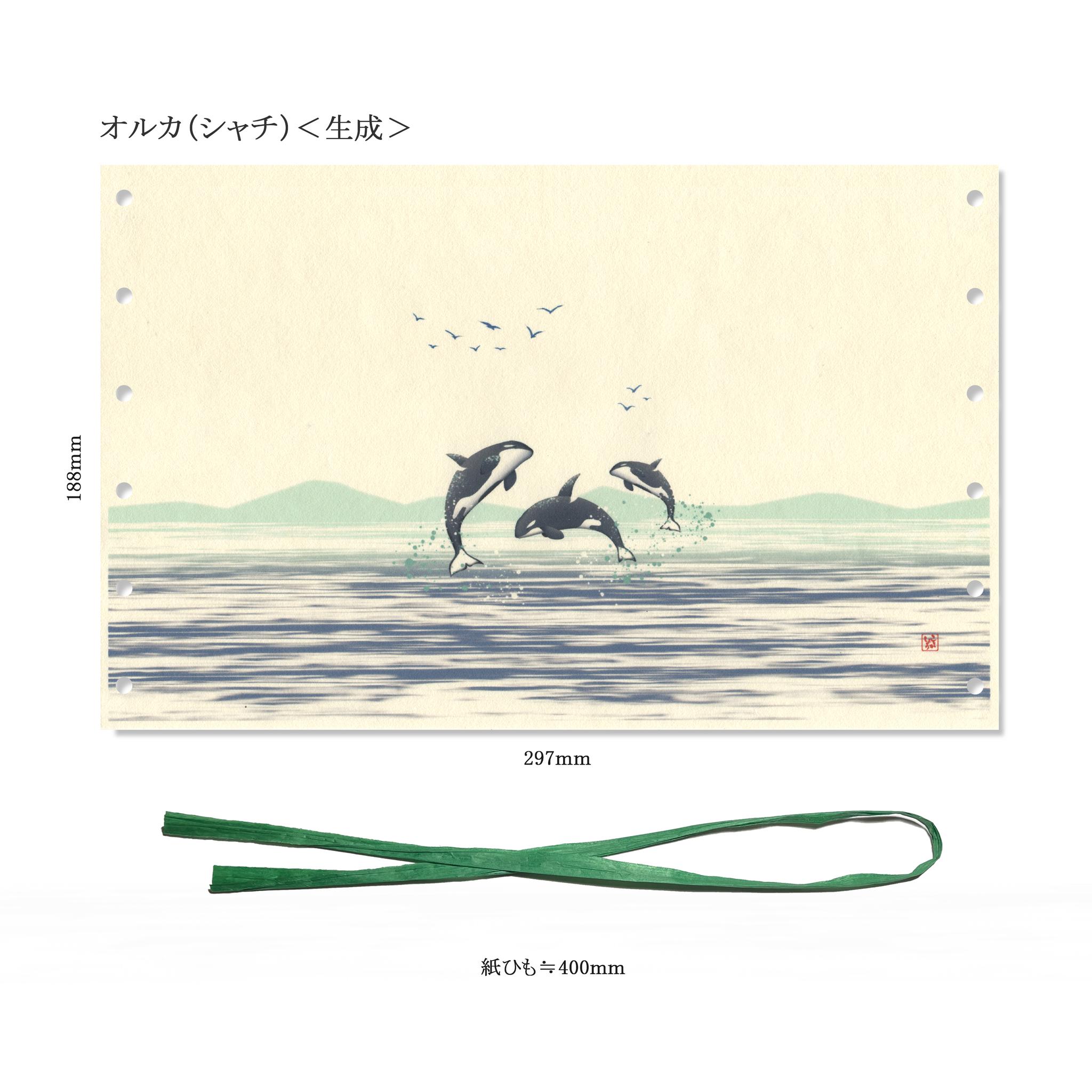 和紙 阿波紙のランプシェード・筒状カバー（海の生き物たち） | 18枚目