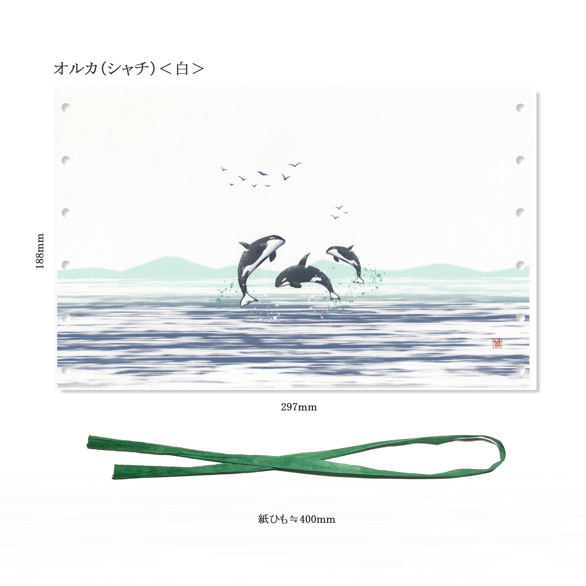 和紙 阿波紙のランプシェード・筒状カバー（海の生き物たち） | 9枚目